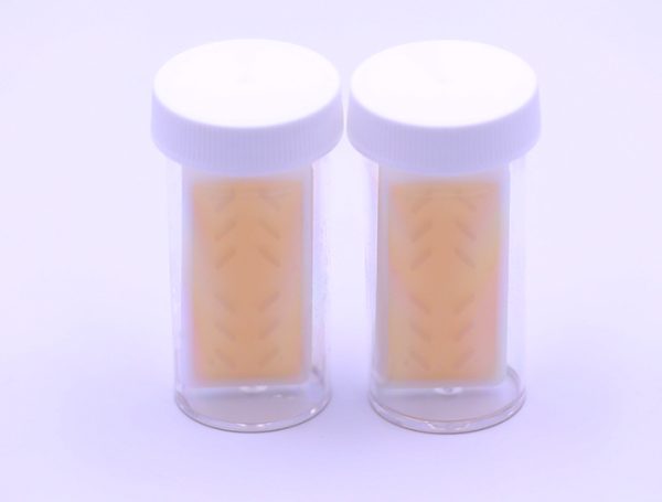 Sani-Check B Dipslides (10 Tests per Kit) - Image 2